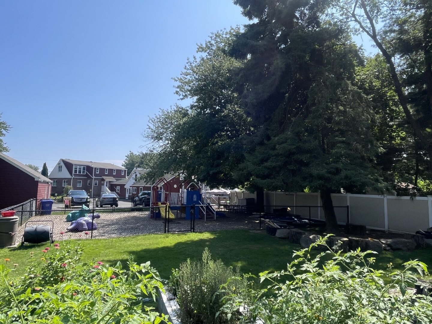 People gathering outdoors near a large tree on a sunny day.